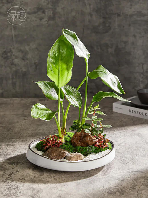 【满299抽大奖】匠心臻礼 | 仙鹤高飞 商品图0