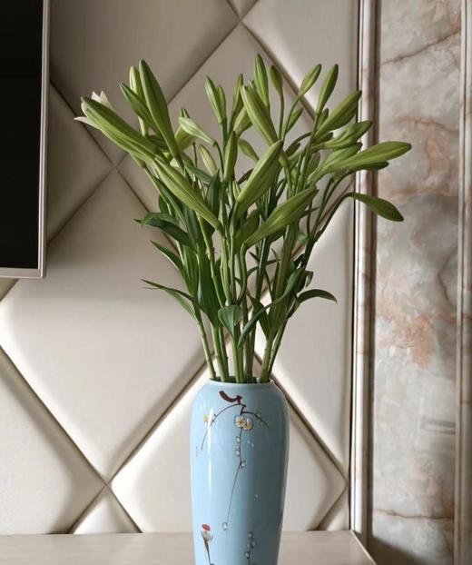 【百年好合】铁炮百合 白色 2头 5枝 商品图8