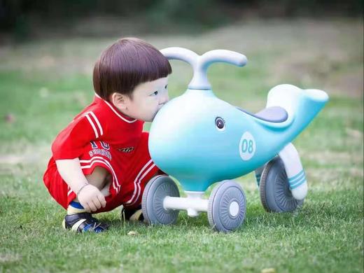 荟智小鲸鱼平衡车 商品图1