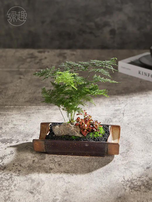 精品至礼 | 一碧千里 商品图0