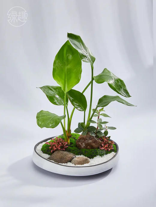 【满299抽大奖】匠心臻礼 | 仙鹤高飞 商品图1