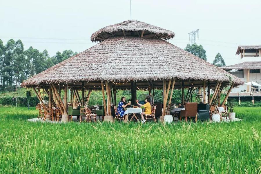 【小草垛田野农场】248元2大1小!稻田里的泰式烤肉,你想要的诗意夏天!