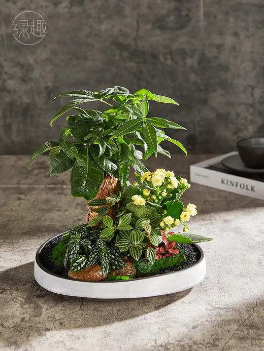 匠心臻礼 | 金玉满堂 商品图0