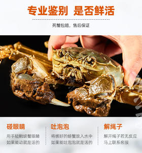 ght-测试大规格商品修改