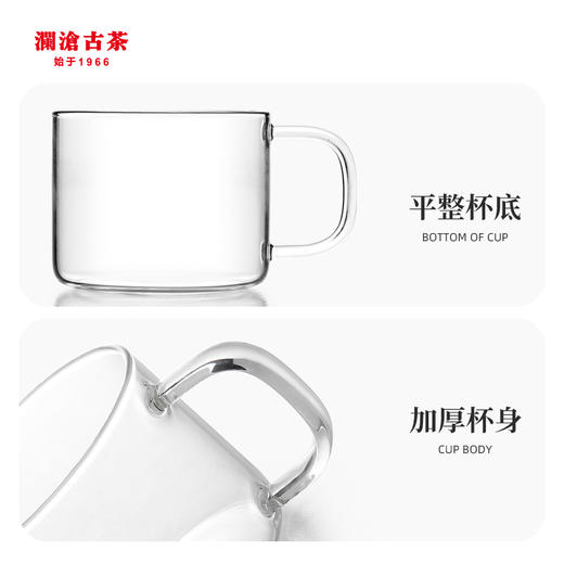 澜沧古茶品茗玻璃分享杯2个装 单杯150ml容量 商品图2