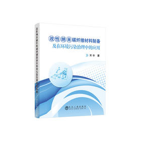 改性纳米碳纤维材料制备及在环境污染治理中的应用/宋辛