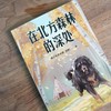 在北方森林的深处/中文分级阅读K5 商品缩略图3
