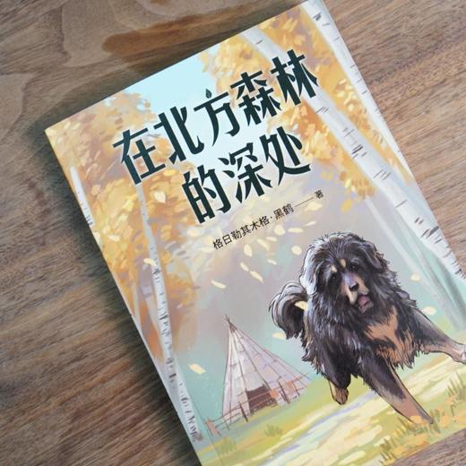 在北方森林的深处/中文分级阅读K5 商品图3