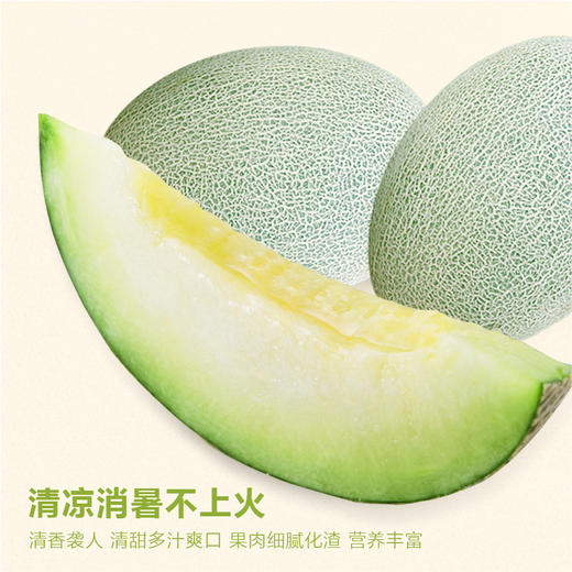 新疆巴楚留香瓜5~9斤 商品图3
