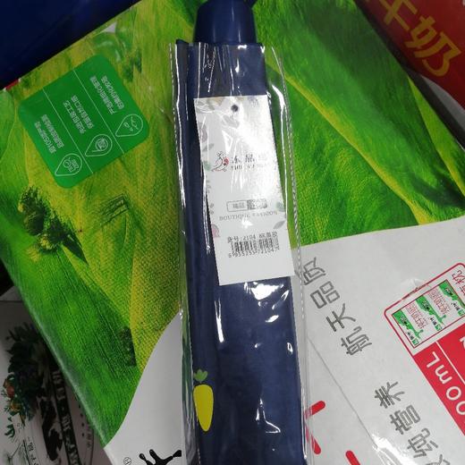 水晶鸟雨伞 商品图0