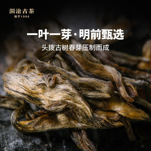 澜沧古茶 2009年001景迈山古树春茶普洱茶生茶大饼357g/片 商品图2