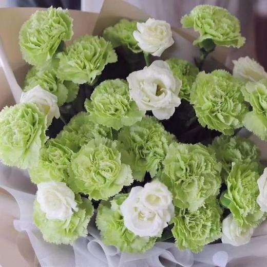 【粉白绿康乃馨30支】粉白绿三色混搭 冷链包邮 - 拉芙鲜花