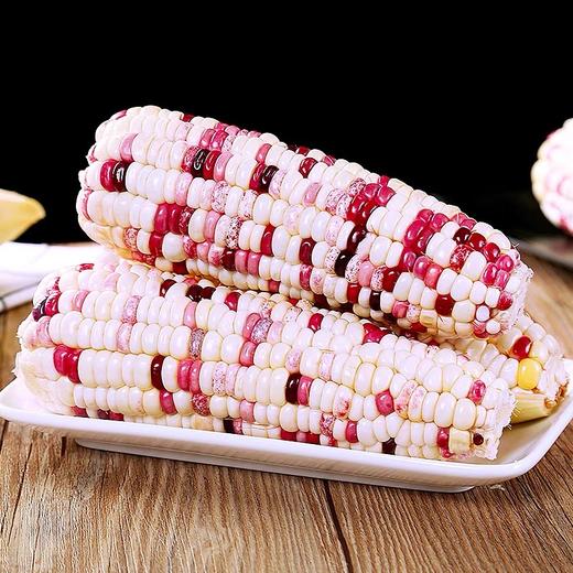 22.9元抢5斤现掰山东花甜糯玉米 商品图0