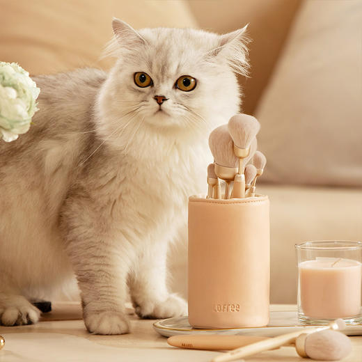 【已下架】LOFREE 洛斐尾巴化妆刷双色套装 茸感刷毛柔软亲肤[福利品] 商品图7