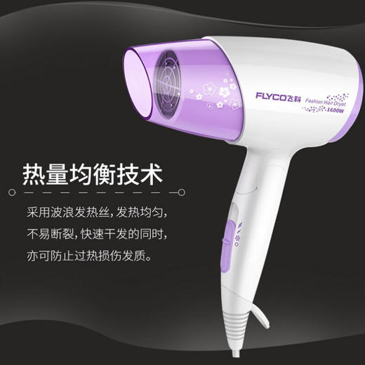 飞科（FLYCO） 电吹风 家用大功率 可折叠便携式负离子FH6222 商品图3