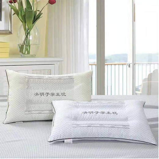 【19.9元/个】决明子学生枕（1217947） 商品图0