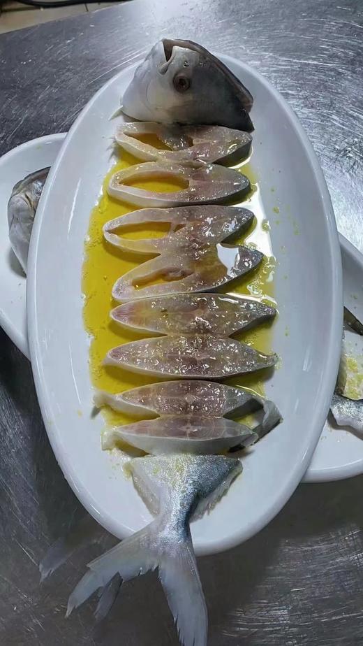 大满通拉花功夫鲳鱼650克/条 商品图5