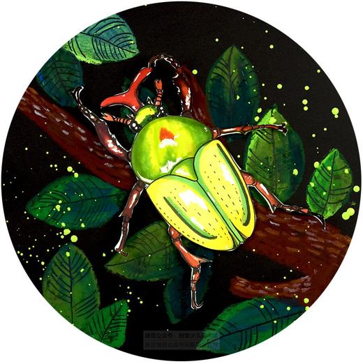 6-8岁《 树枝上的“小将军”甲虫》昆虫惊蛰【自动发货：下单后，点击手机短信中收到的链接，即可获取文件下载的链接；如有任何问题，可添加客服微信hm33268获得帮助】
 商品图0