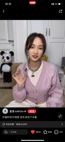 孟佳-黑樱桃项链