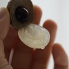 【晶莹剔透 暗藏甜蜜】来自东莞水濂山的鲜摘龙眼 商品缩略图1