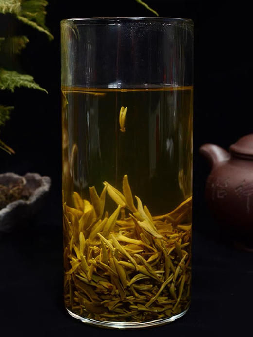 茉莉贡毫100g 商品图2