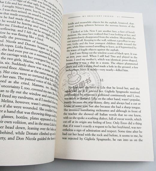 我的天才女友 英文原版 My Brilliant Friend 那不勒斯四部曲之一 HBO新剧原著 埃莱娜费兰特 英文版 女性文学小说 进口英语书籍 商品图2