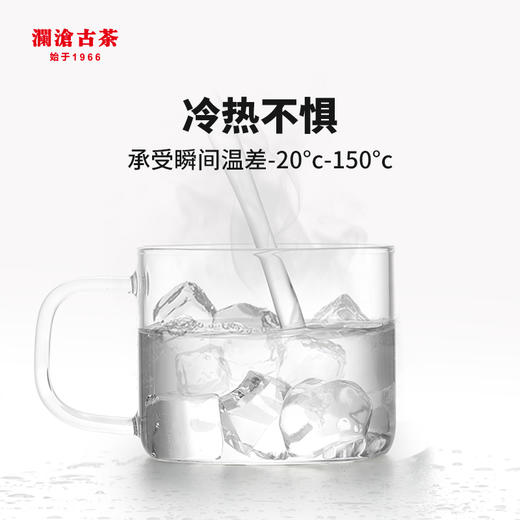 澜沧古茶品茗玻璃分享杯2个装 单杯150ml容量 商品图3