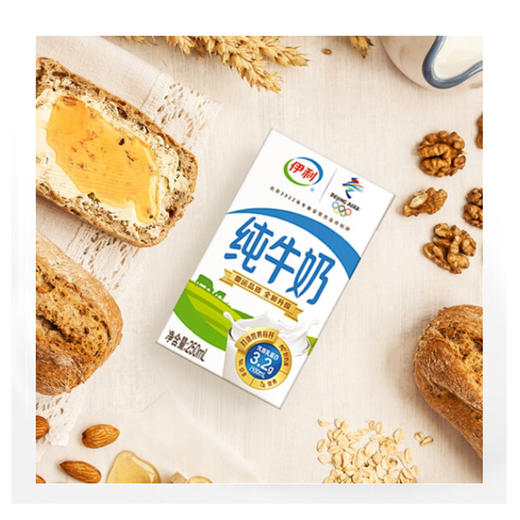 伊利1*16*250ml纯牛奶 商品图1