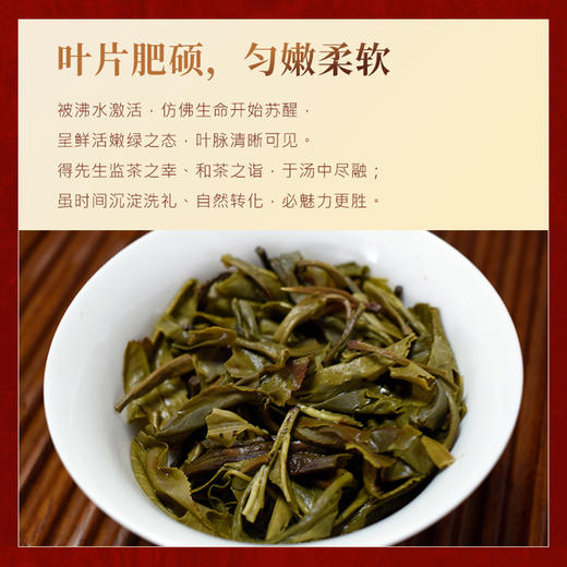 老同志&5G茶道双标定制 2021同道 普洱生茶357g 商品图4