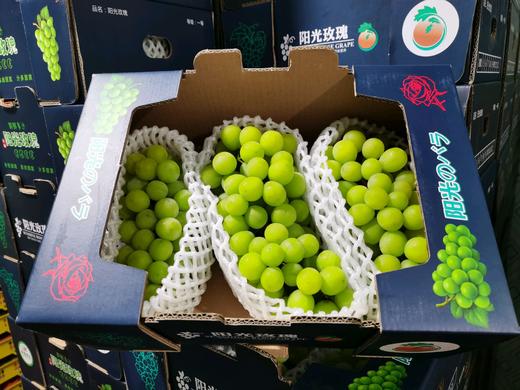 阳光玫瑰礼盒小件 商品图0