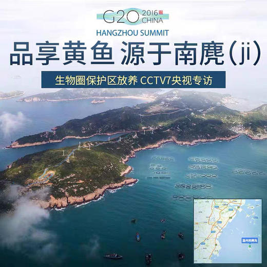 野性生态放养大黄鱼 商品图6