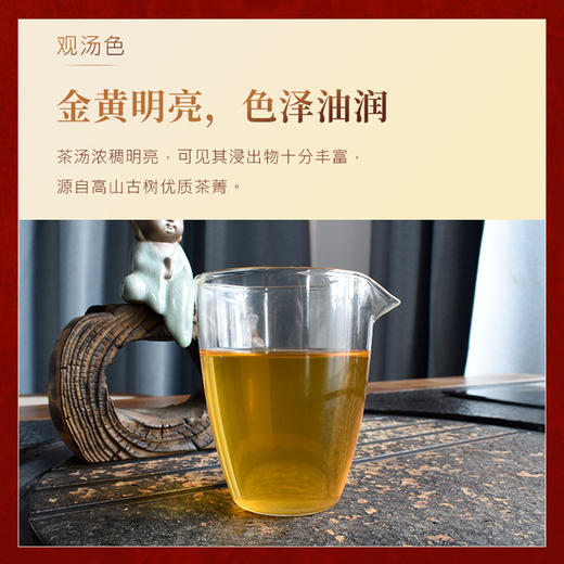 老同志&5G茶道双标定制 2021同道 普洱生茶357g 商品图3