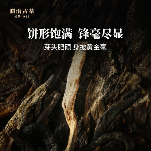 澜沧古茶2021年金霸道普洱茶生茶勐海布朗山古树茶叶大饼357g 商品图2