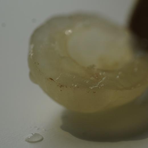 【晶莹剔透 暗藏甜蜜】来自东莞水濂山的鲜摘龙眼 商品图8