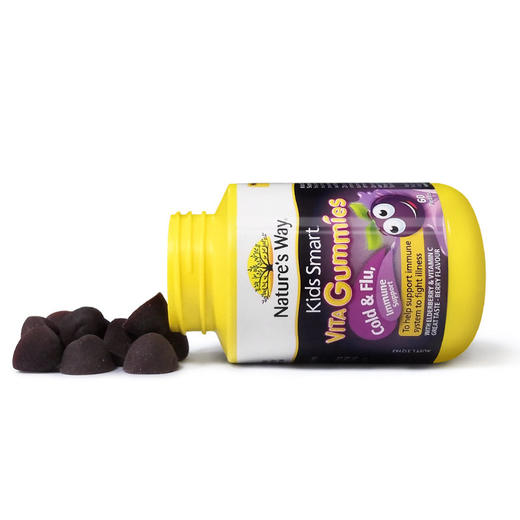 NATURE'S WAY 佳思敏 儿童接骨木提升免疫力抗感软糖 60粒 澳大利亚 商品图3