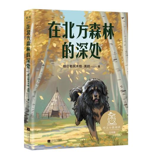 在北方森林的深处/中文分级阅读K5 商品图0