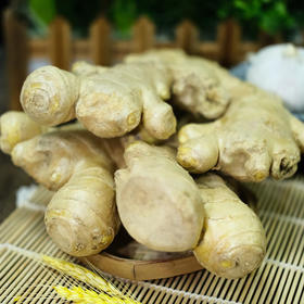 老姜  500g【DD】