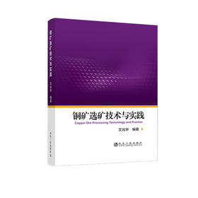 铜矿选矿技术与实践/艾光华