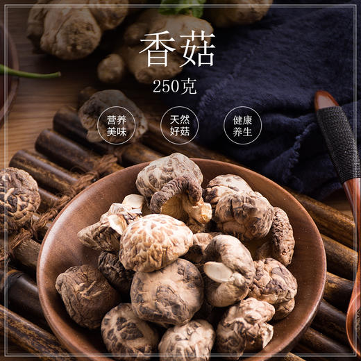 【马应龙养生】香菇 250g 商品图0