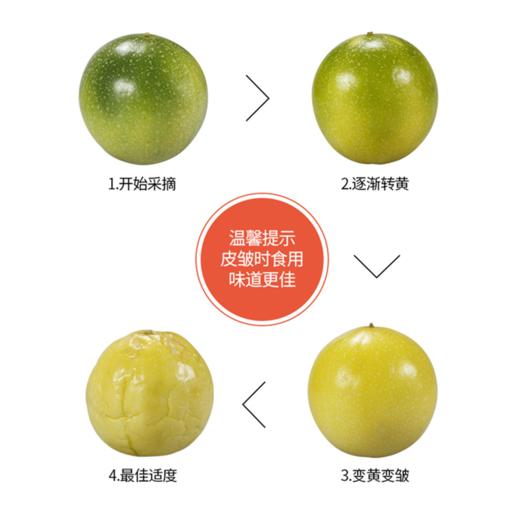【可以勺着吃的百香果】黄金百香果 钦蜜9号 香气炸弹  甜蜜来袭  颗粒饱满 色泽橙黄 果香馥郁 阵阵沁人心脾的香味 成熟时果皮呈金黄色 酸度低 不加蜂蜜自然甜 商品图6