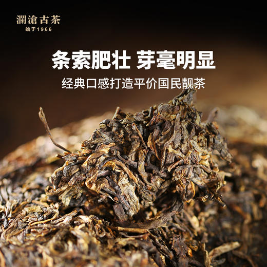 【老茶推荐】澜沧古茶2010年007小砖普洱茶生茶100g 商品图2