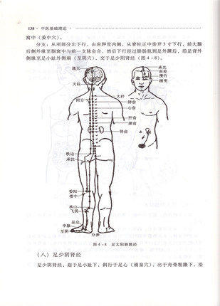 【出版社直销】 中医基础理论 王农银 著 (供中医类专业用/高职高专 ) 中国中医药出版社 中医大中专教材 供中医类专业用 商品图3