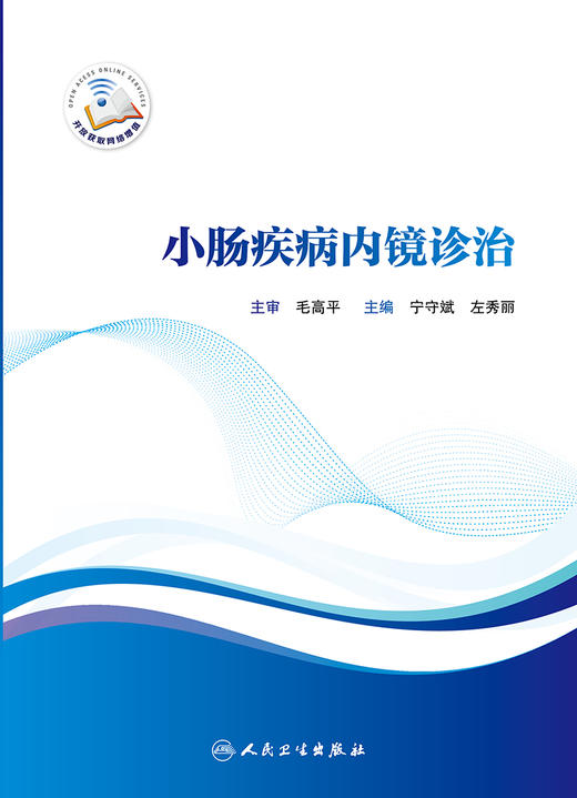 小肠疾病内镜诊治 商品图1