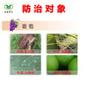 健达 德国巴斯夫 防治葡萄白粉病，灰霉病。 商品缩略图1
