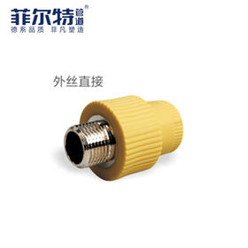 菲尔特 PPR 外丝直接 25*1/2