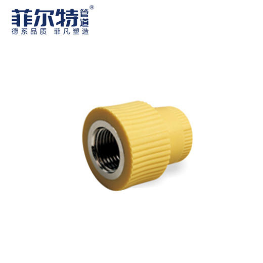 菲尔特 PPR 内丝直接 25*1/2 商品图0