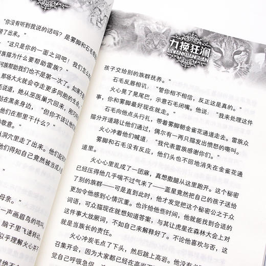 猫武士首部曲 （共六册）  适读年龄6-15岁 商品图4