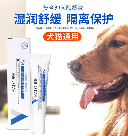 可鲁复合溶菌酶抗菌凝胶10g猫咪伤口消炎修复 商品图1