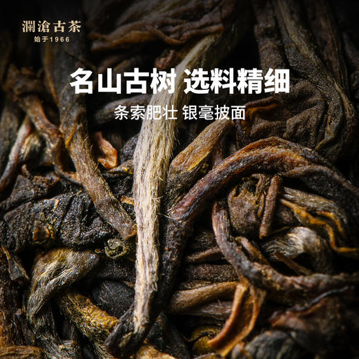 澜沧古茶2015年邦崴小饼普洱茶生茶125g 商品图4