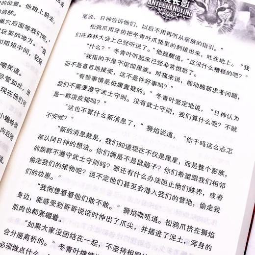 猫武士三部曲（共六册）  适读年龄6-15岁 商品图3